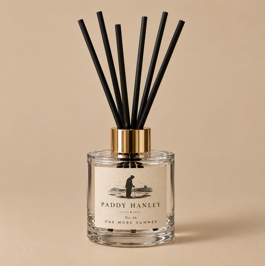 No. 06 One More Summer Diffuser & Reeds